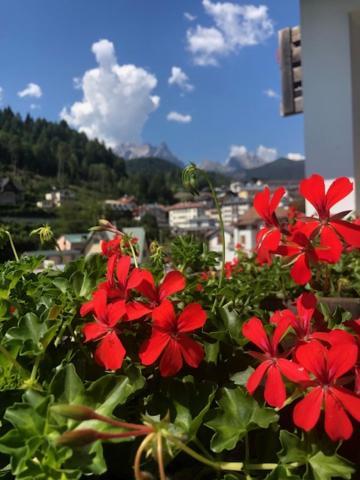 Apartamento La Casa Di Monte Ricco Pieve di Cadore Exterior foto