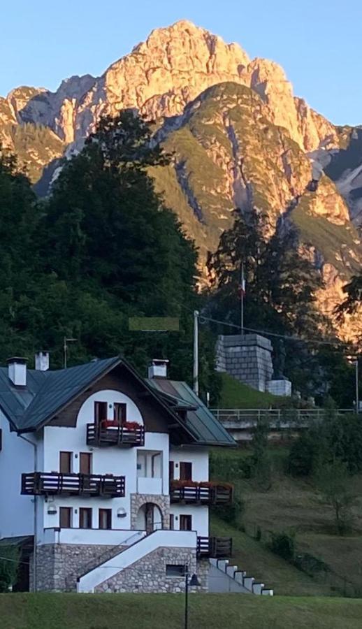 Apartamento La Casa Di Monte Ricco Pieve di Cadore Exterior foto